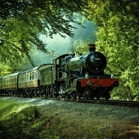 Самые популярные маршруты железнодорожного транспорта: где и какие направления выбирают пассажиры?