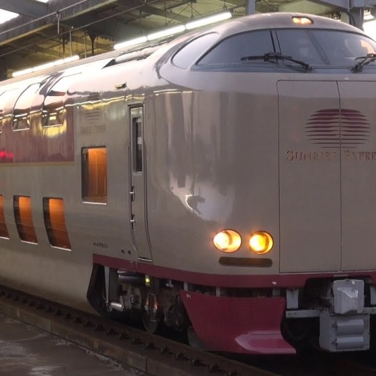 РЖД запустили первую автоматизированную «Ласточку» для перевозки пассажиров на МЦК