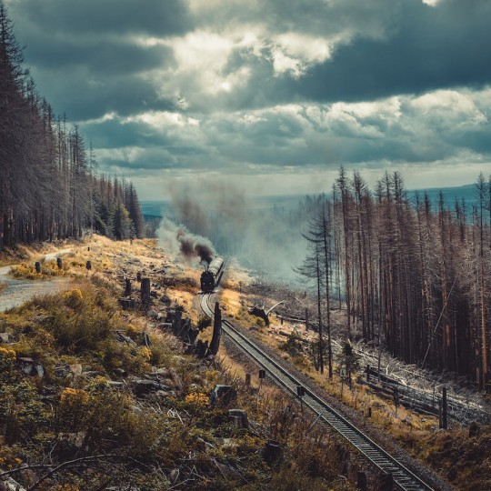 Более 170 тыс. контейнеров ДФЭ было перевезено по Куйбышевской железной дороге в январе-сентябре