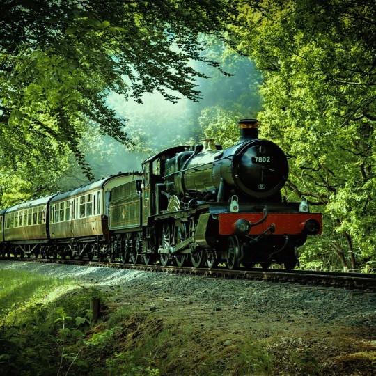 В январе – сентябре текущего года с Северной железной дороги отправлено более 1,2 тыс. контейнерных поездов