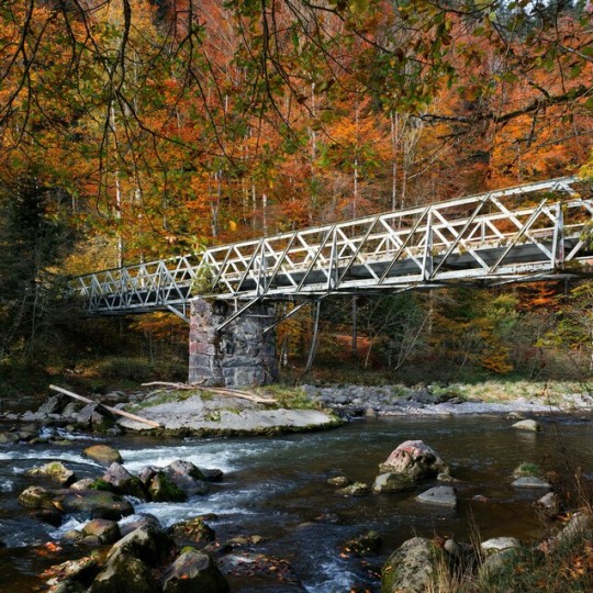 За 10 месяцев текущего года «Городская электричка» в Нижнем Новгороде перевезла почти 1,3 млн пассажиров