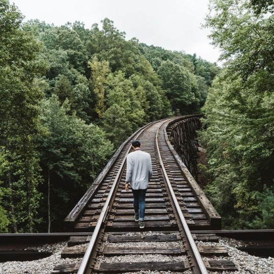 Погрузка на Московской железной дороге в 2024 году составила 65,6 млн тонн