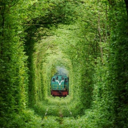 Перевозки груженых контейнеров на Южно-Уральской железной дороге в 2024 году выросли на 8,2%