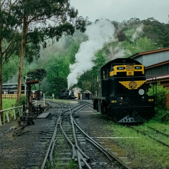 На вокзале в Новоалтайске открылась выставка пейзажей Алтайского края