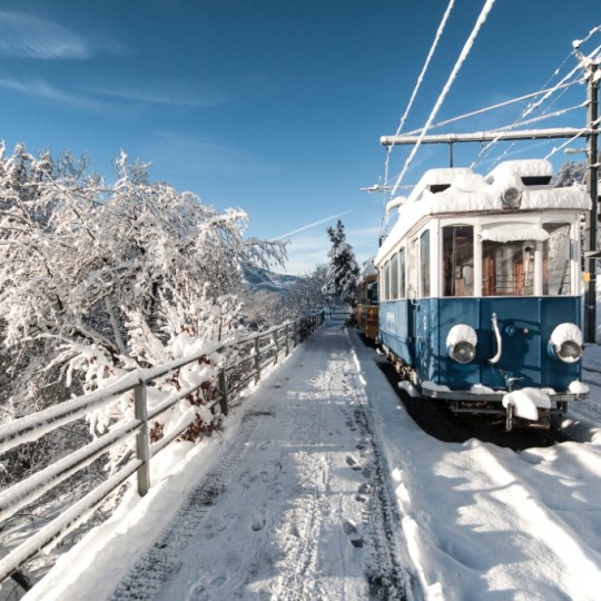 За 6 лет курсирования «Деловой экспресс» между Калининградом и Светлогорском перевез около 650 тыс. пассажиров