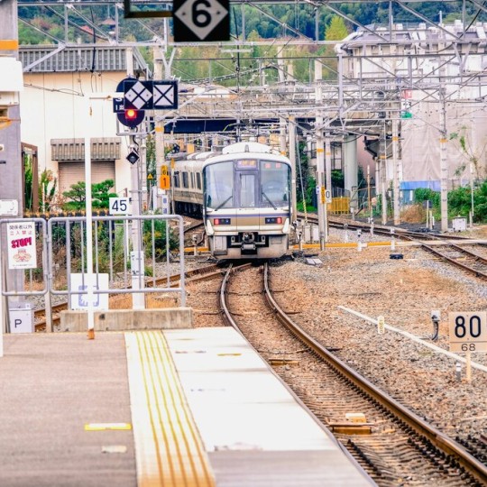 В 2024 году более 16 тыс. пассажиров совершили поездки на тематических поездах из Воронежа в Волгоград, Казань, Нижний Новгород и Кострому