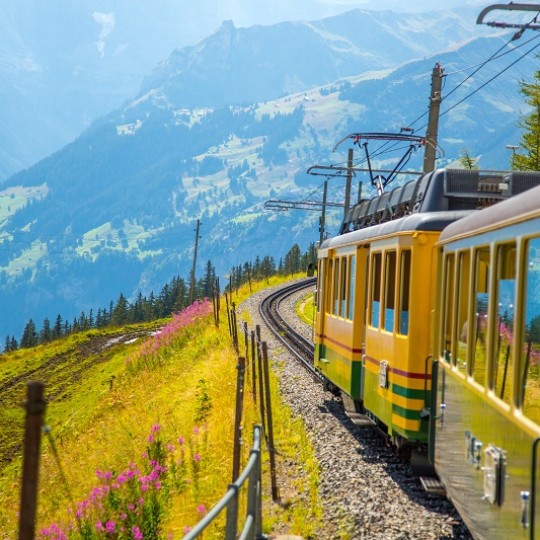 В 2024 году пассажиры поездов на Дальневосточной железной дороге забыли в вагонах более 2,9 тыс. личных вещей